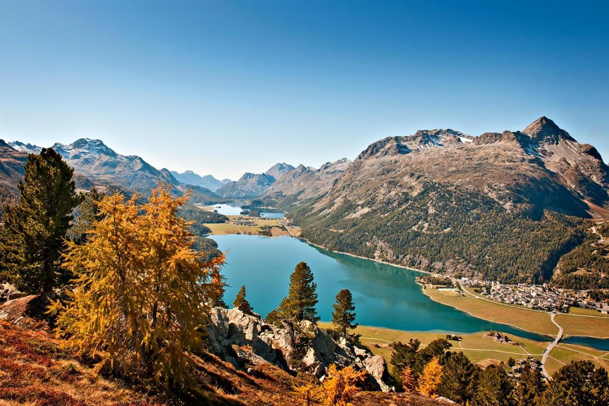 Hotel Donatz Samedan Dış mekan fotoğraf